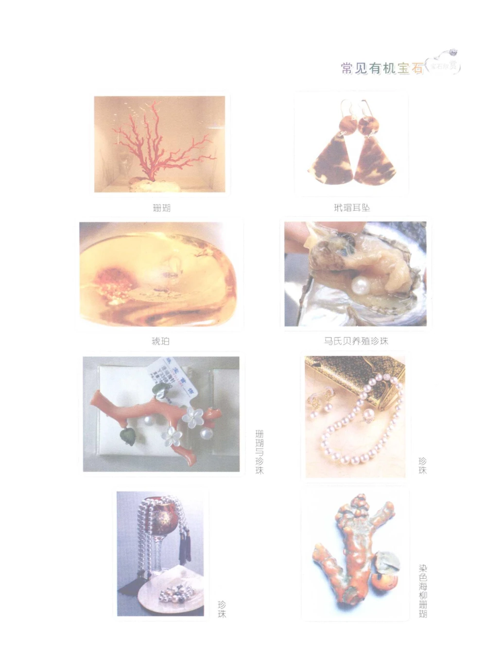 0269珠宝玉石鉴定实训_X018-玉石珠宝鉴定教程最新合集_5、玉石鉴定专题全套课程_玉石电子书_玉石电子书