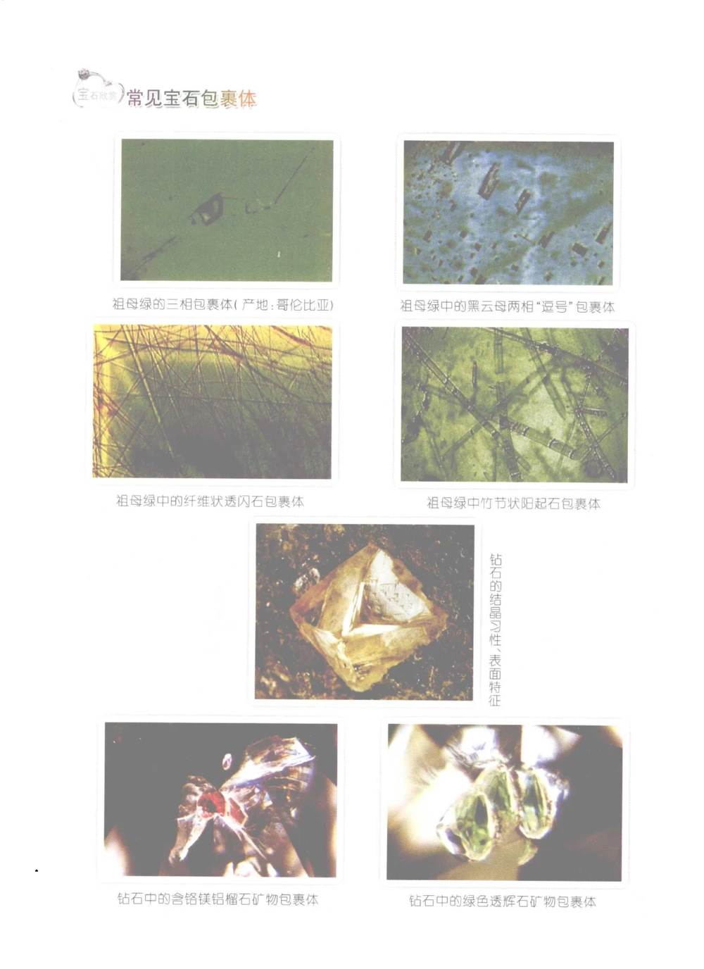 0269珠宝玉石鉴定实训_X018-玉石珠宝鉴定教程最新合集_5、玉石鉴定专题全套课程_玉石电子书_玉石电子书