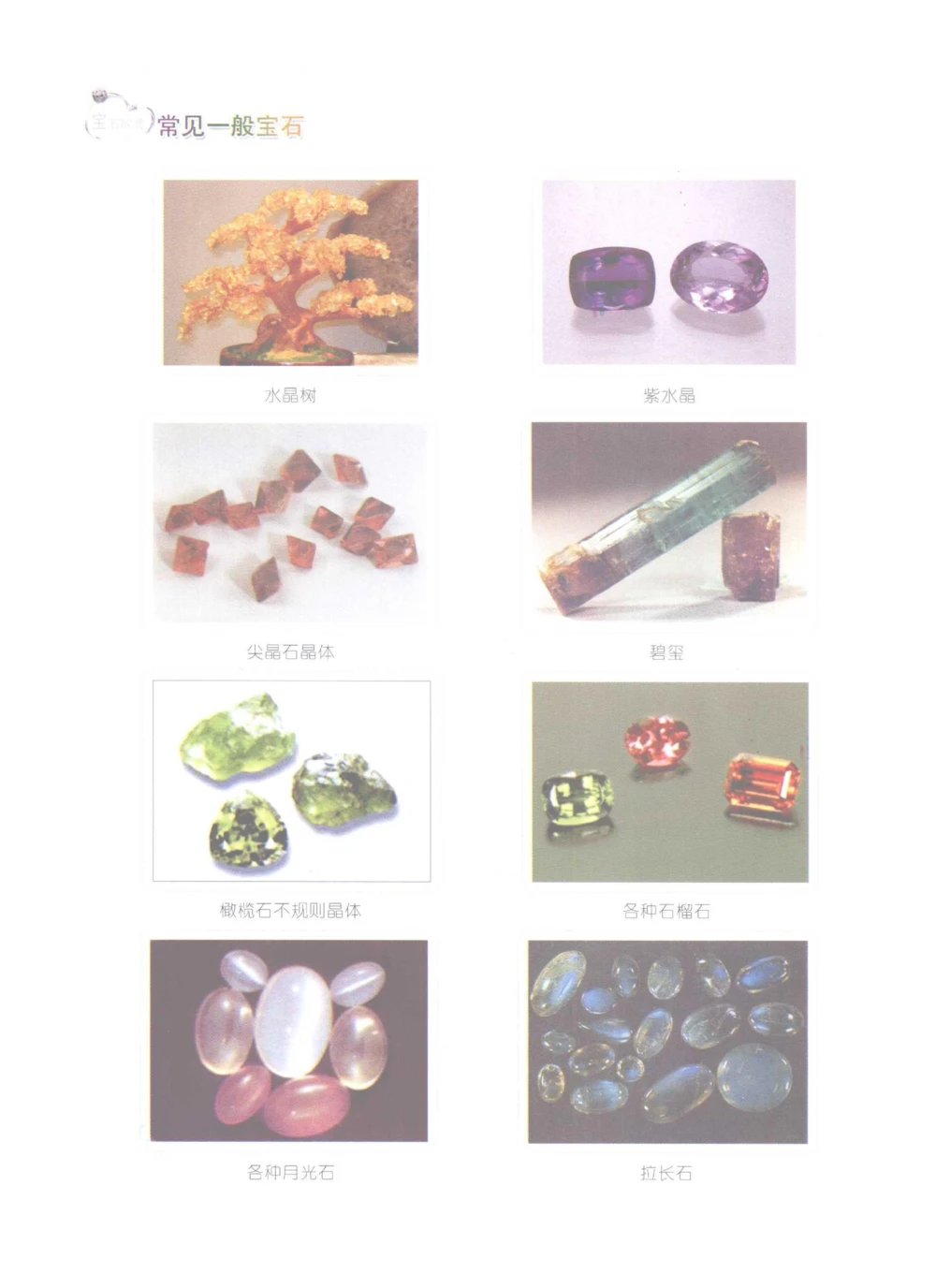 0269珠宝玉石鉴定实训_X018-玉石珠宝鉴定教程最新合集_5、玉石鉴定专题全套课程_玉石电子书_玉石电子书