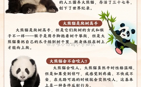 百科图鉴大熊猫居然有六根手指_2025抖音最火小学全科全年级资料大全集超完整版_小学常识VIP资源禁止外传