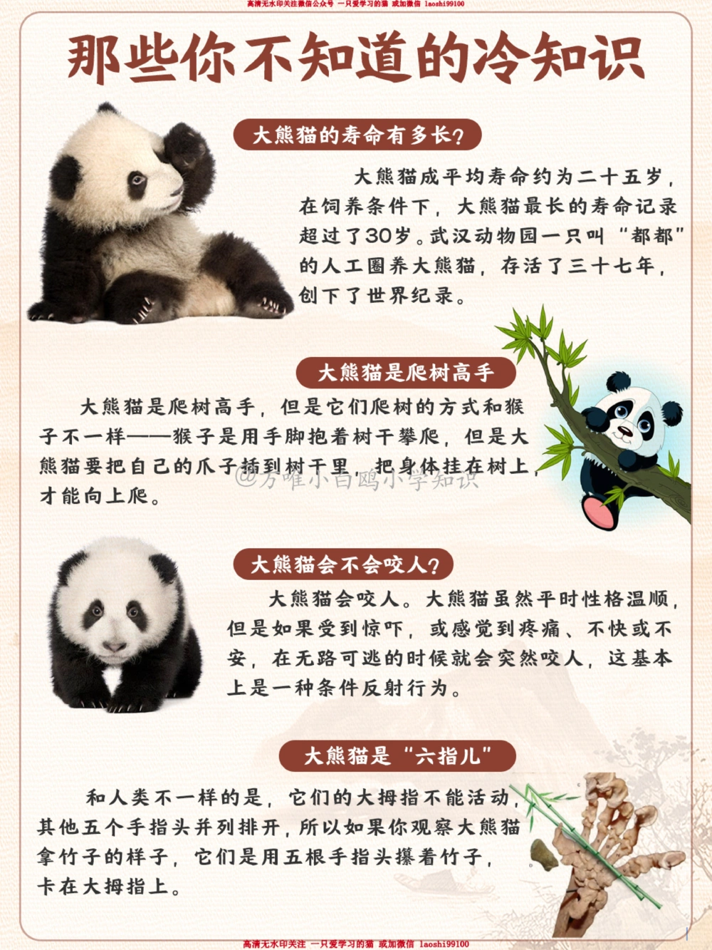 百科图鉴大熊猫居然有六根手指_2025抖音最火小学全科全年级资料大全集超完整版_小学常识VIP资源禁止外传
