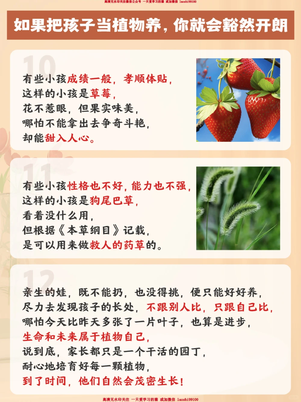 幡然醒悟-太太太同意这位家长的观点了_2025抖音最火小学全科全年级资料大全集超完整版_家庭教育VIP资源禁止外传