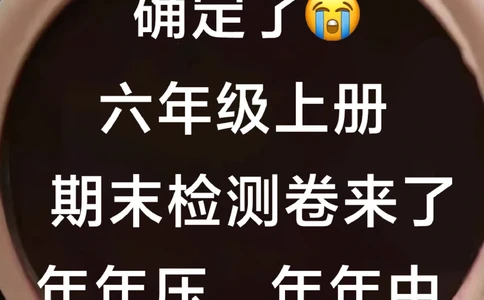六年级期末语文检测卷已出-快让孩子做一遍_2025抖音最火小学全科全年级资料大全集超完整版_小学语文VIP资源禁止外传