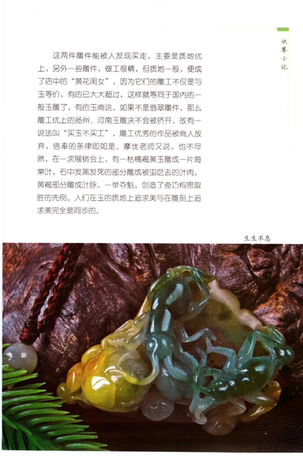 化学类_26考研复试_10考研复试资料25_2025考研复试简历124款_按专业分类