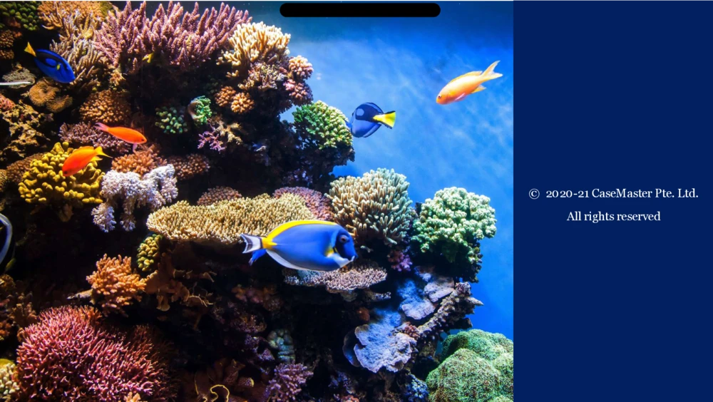 03参考资料：McKinseyImbellusGameSecretsSixthEdition_2025春招题库汇总_咨询题库_2023咨询公司合集（7家）_2023麦肯锡_1-麦肯锡psg合集_01、麦肯锡psg通关秘籍