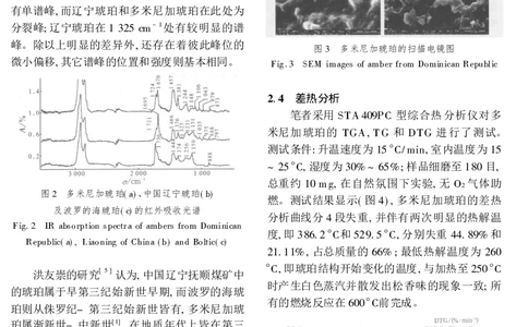 多米尼加琥珀_X018-玉石珠宝鉴定教程最新合集_6、翡翠鉴定专题全套课程_翡翠电子书_翡翠鉴赏_41-50