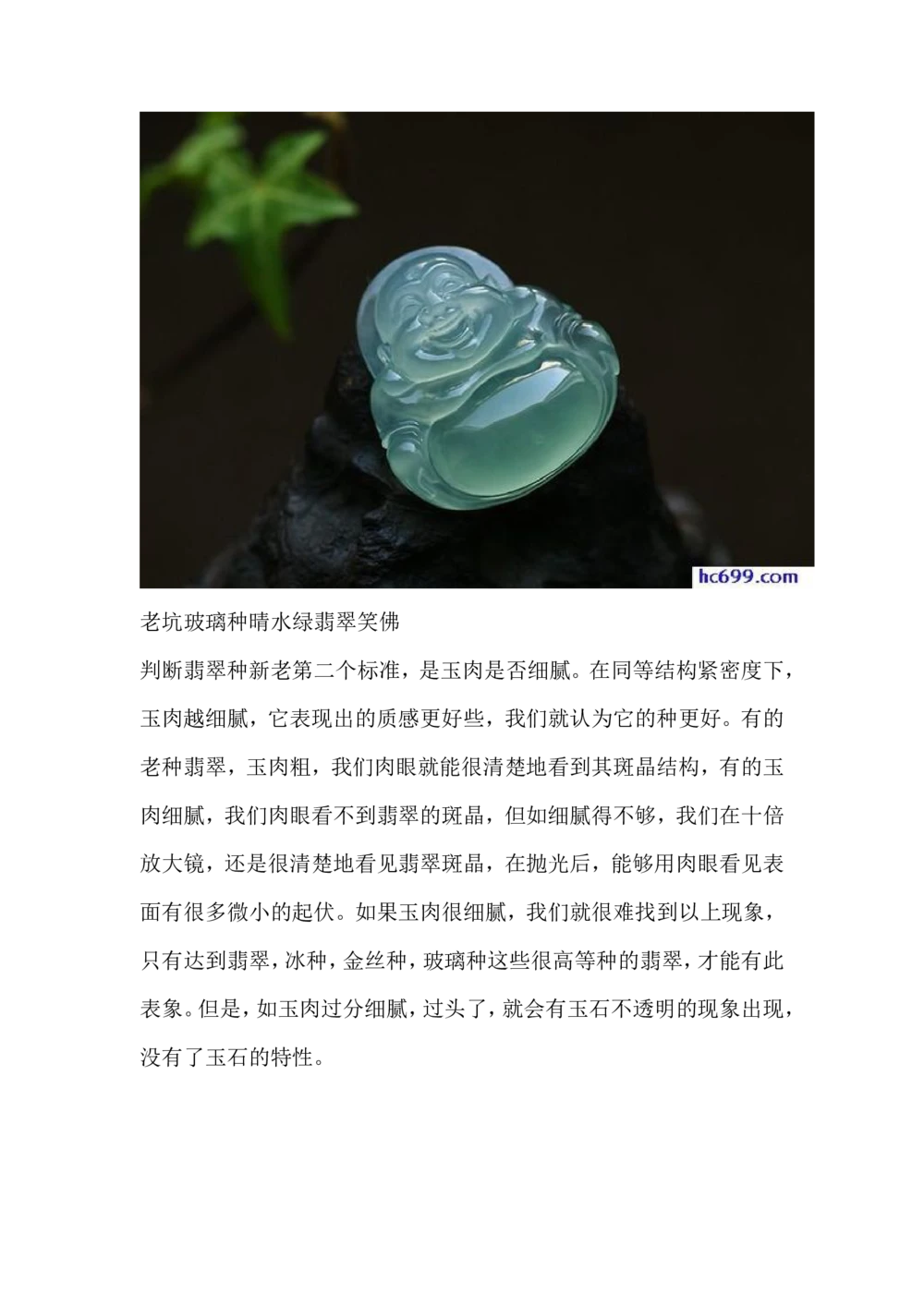 内行看种_X018-玉石珠宝鉴定教程最新合集_8、玉石翡翠鉴定与投资电子资料_赌石专题