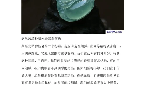 内行看种_X018-玉石珠宝鉴定教程最新合集_8、玉石翡翠鉴定与投资电子资料_赌石专题