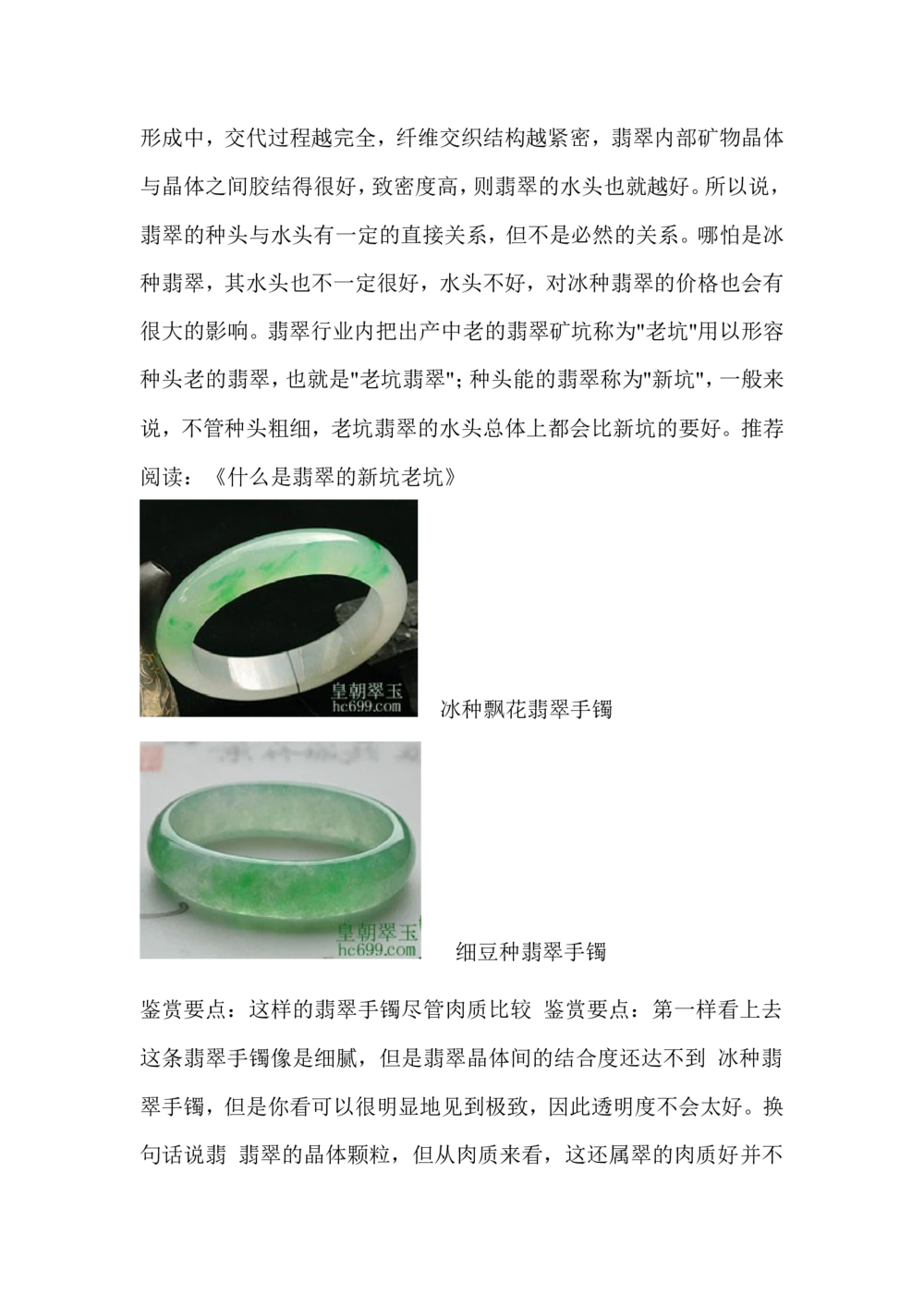 什么是翡翠的种水_X018-玉石珠宝鉴定教程最新合集_8、玉石翡翠鉴定与投资电子资料_赌石专题