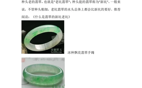 什么是翡翠的种水_X018-玉石珠宝鉴定教程最新合集_8、玉石翡翠鉴定与投资电子资料_赌石专题