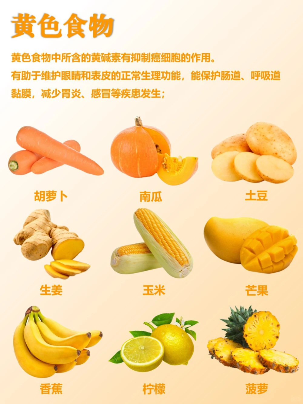 知识科普｜彩虹饮食人体的超级营养_中小学精品资料(高清可打印)_百科知识大全集312份高清资料整理版