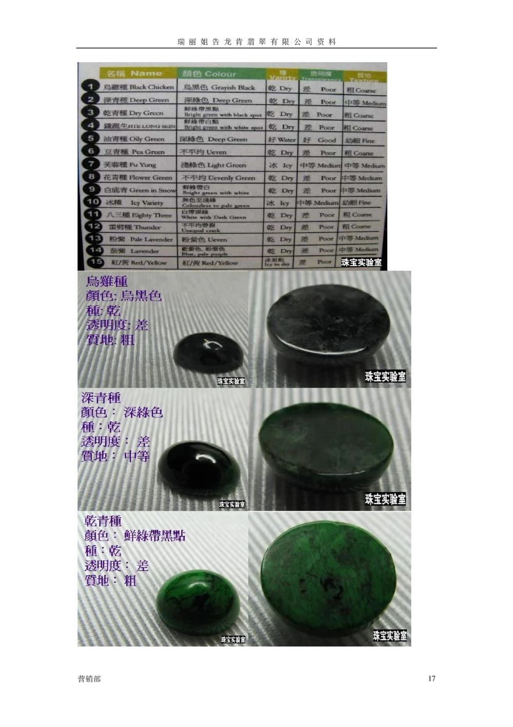 图解翡翠知识_X018-玉石珠宝鉴定教程最新合集_6、翡翠鉴定专题全套课程_翡翠电子书_翡翠鉴赏_01-10