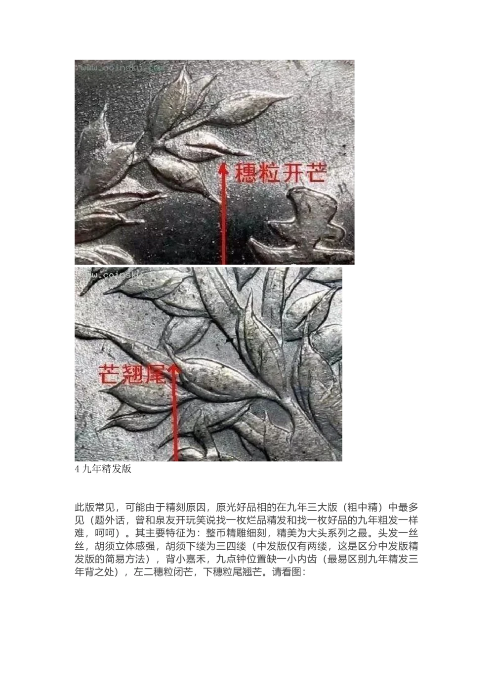 九年袁大头版别_X017-奢侈品鉴定教程最新合集_5、寄卖行鉴定全套手册合集6套_银元古币鉴定资料