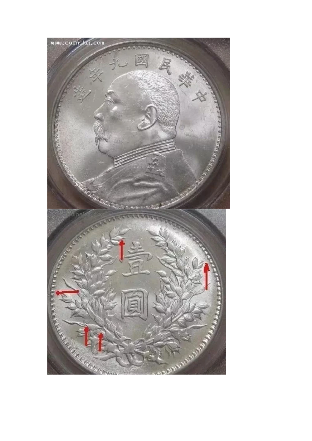 九年袁大头版别_X017-奢侈品鉴定教程最新合集_5、寄卖行鉴定全套手册合集6套_银元古币鉴定资料