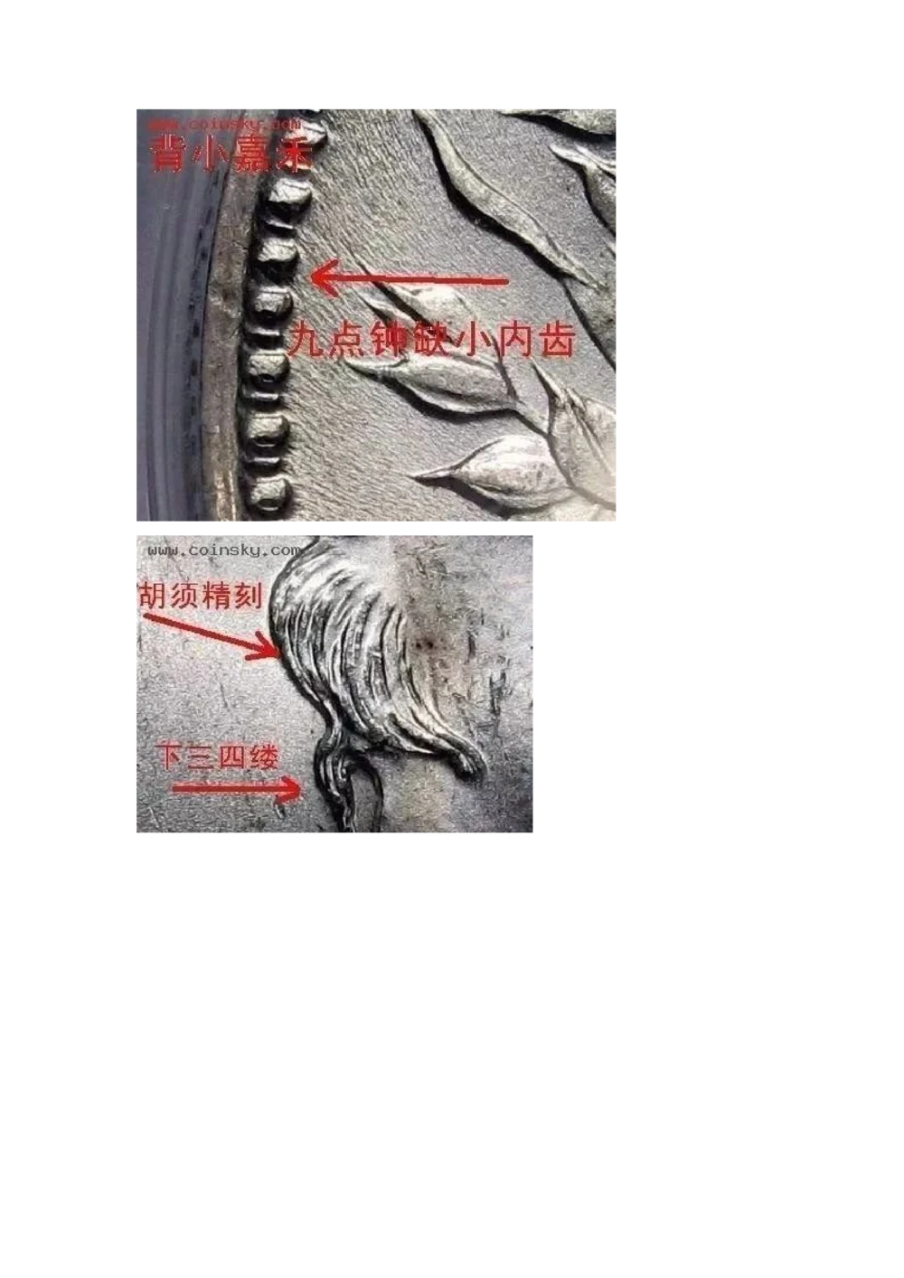 九年袁大头版别_X017-奢侈品鉴定教程最新合集_5、寄卖行鉴定全套手册合集6套_银元古币鉴定资料