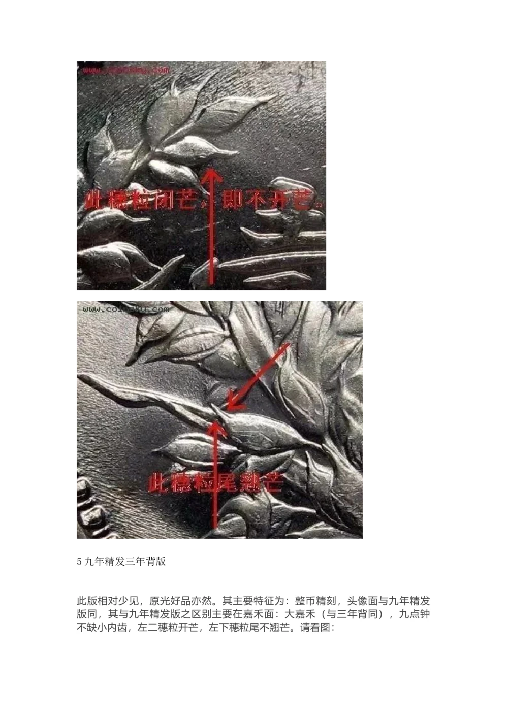 九年袁大头版别_X017-奢侈品鉴定教程最新合集_5、寄卖行鉴定全套手册合集6套_银元古币鉴定资料