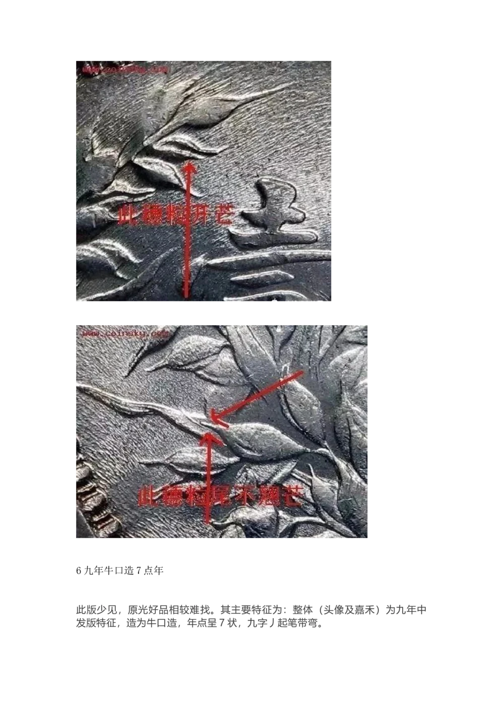 九年袁大头版别_X017-奢侈品鉴定教程最新合集_5、寄卖行鉴定全套手册合集6套_银元古币鉴定资料