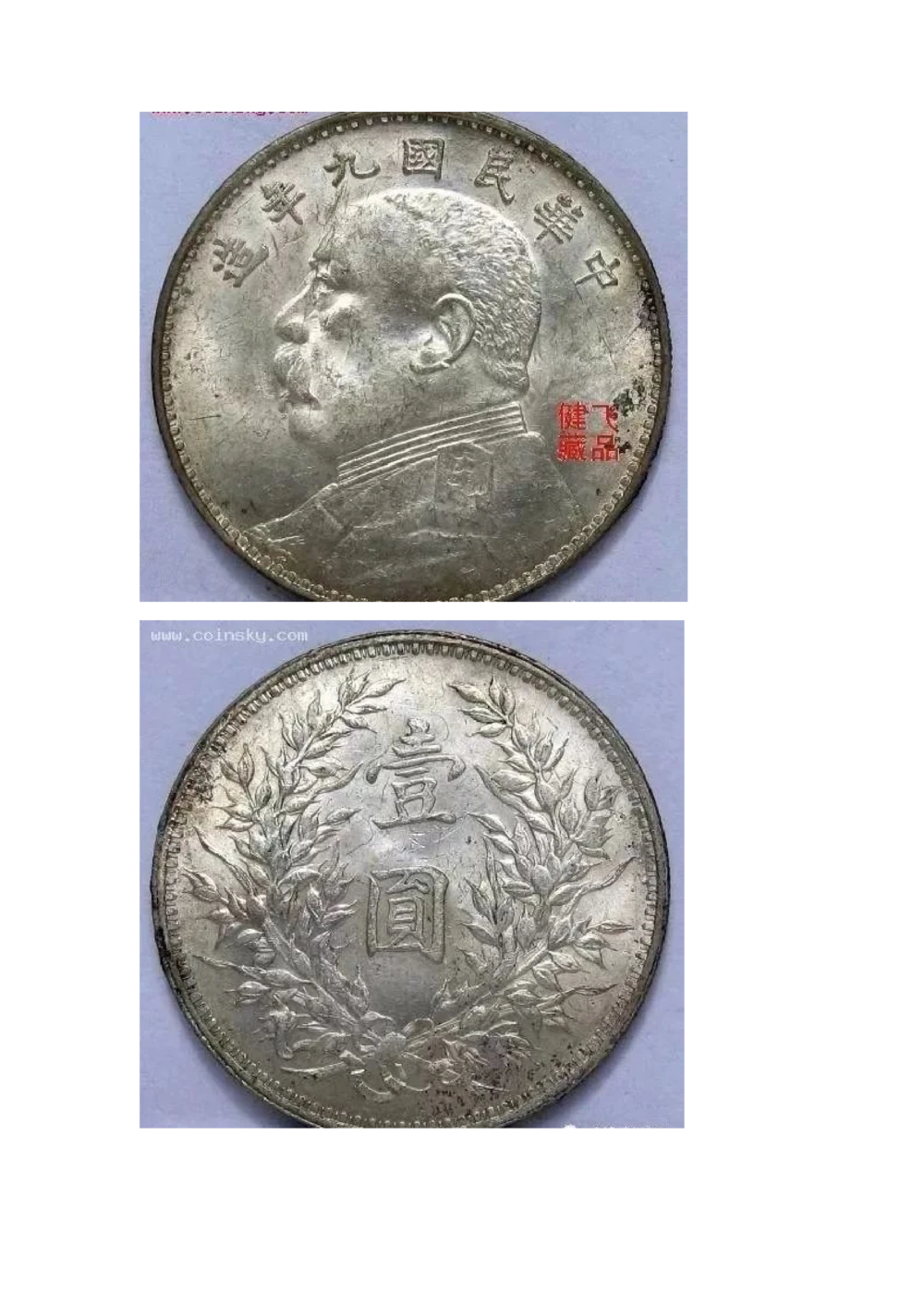 九年袁大头版别_X017-奢侈品鉴定教程最新合集_5、寄卖行鉴定全套手册合集6套_银元古币鉴定资料