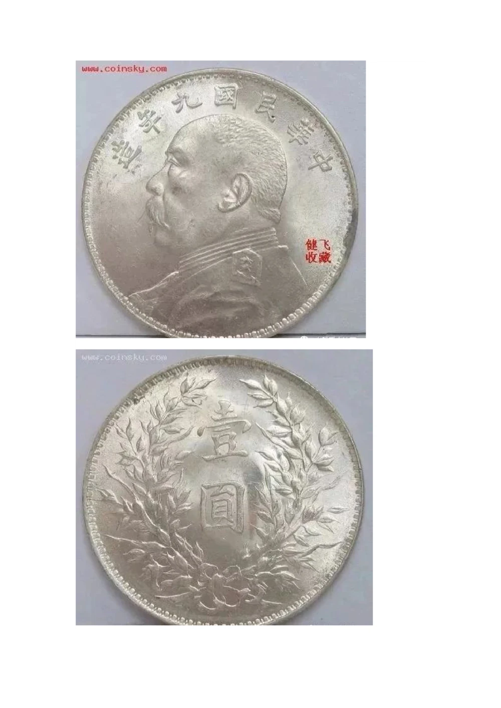 九年袁大头版别_X017-奢侈品鉴定教程最新合集_5、寄卖行鉴定全套手册合集6套_银元古币鉴定资料