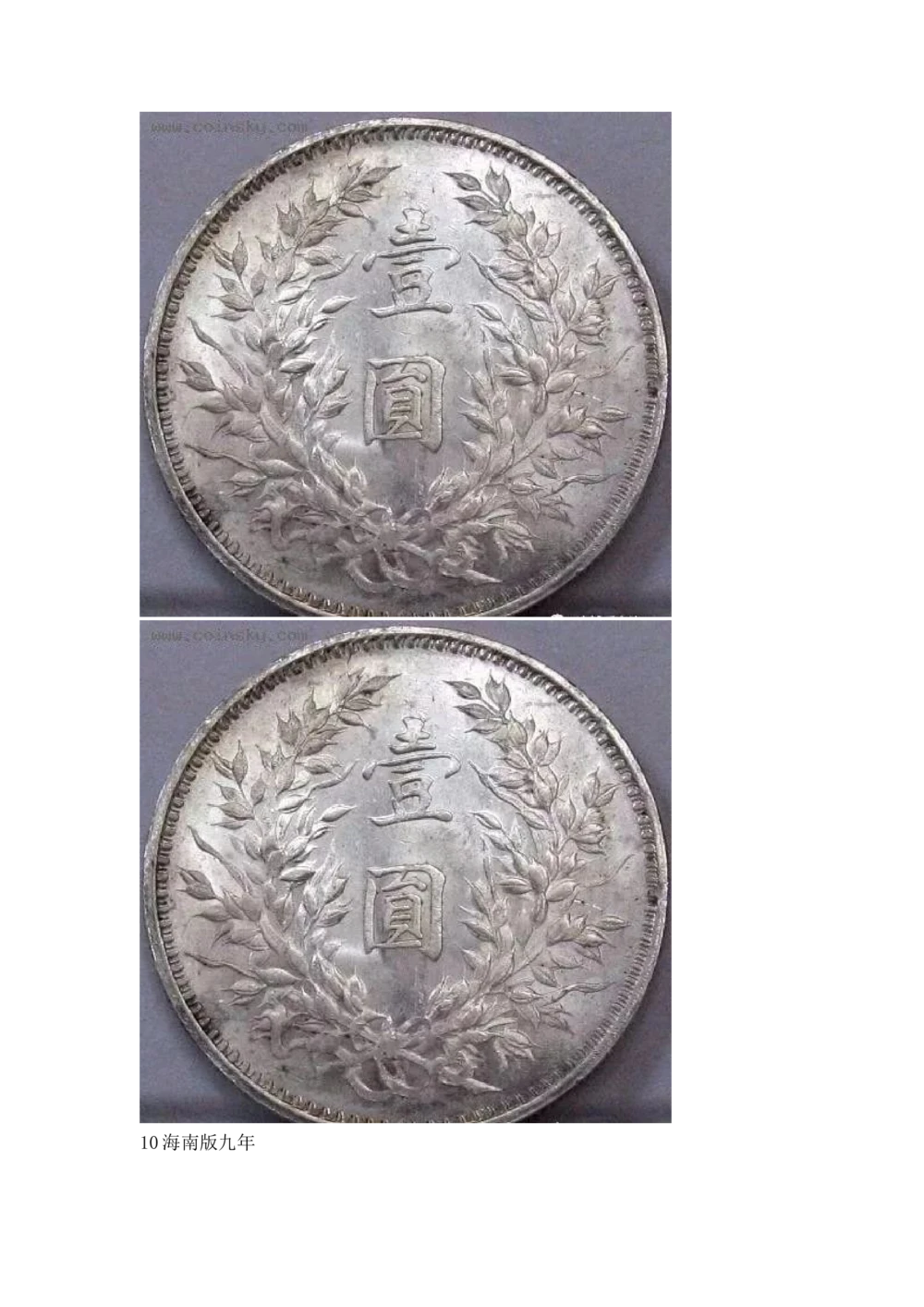 九年袁大头版别_X017-奢侈品鉴定教程最新合集_5、寄卖行鉴定全套手册合集6套_银元古币鉴定资料