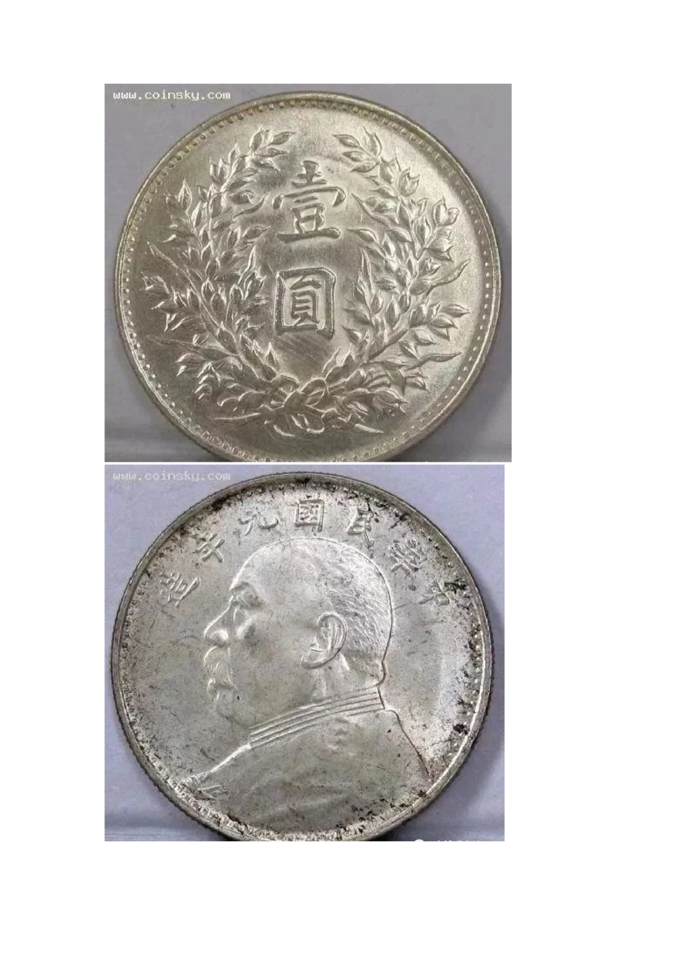 九年袁大头版别_X017-奢侈品鉴定教程最新合集_5、寄卖行鉴定全套手册合集6套_银元古币鉴定资料