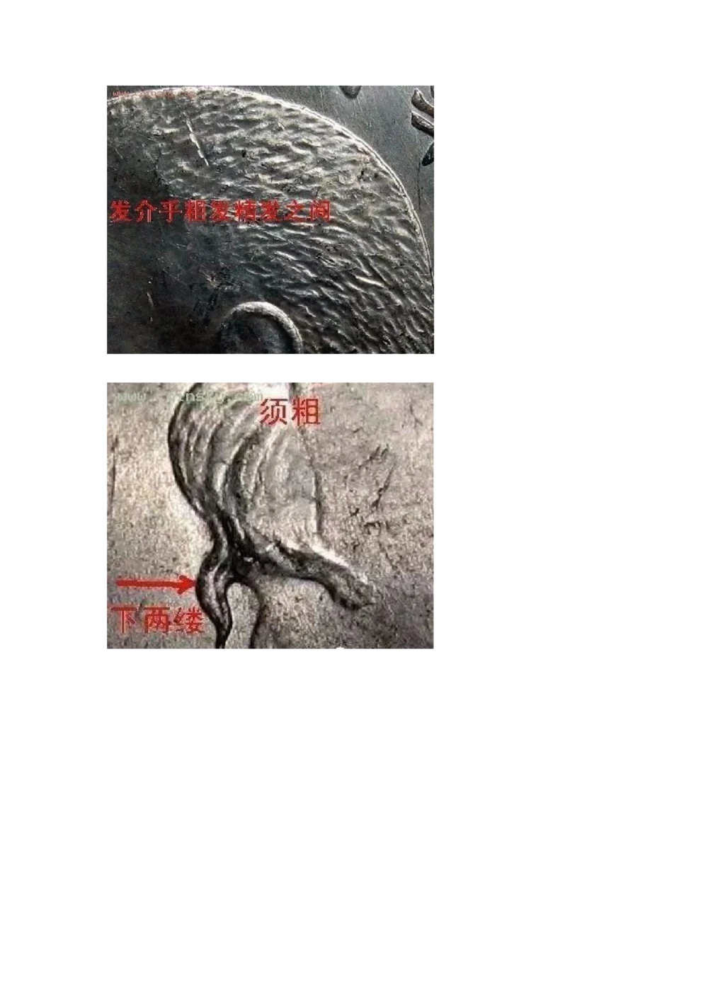 九年袁大头版别_X017-奢侈品鉴定教程最新合集_5、寄卖行鉴定全套手册合集6套_银元古币鉴定资料