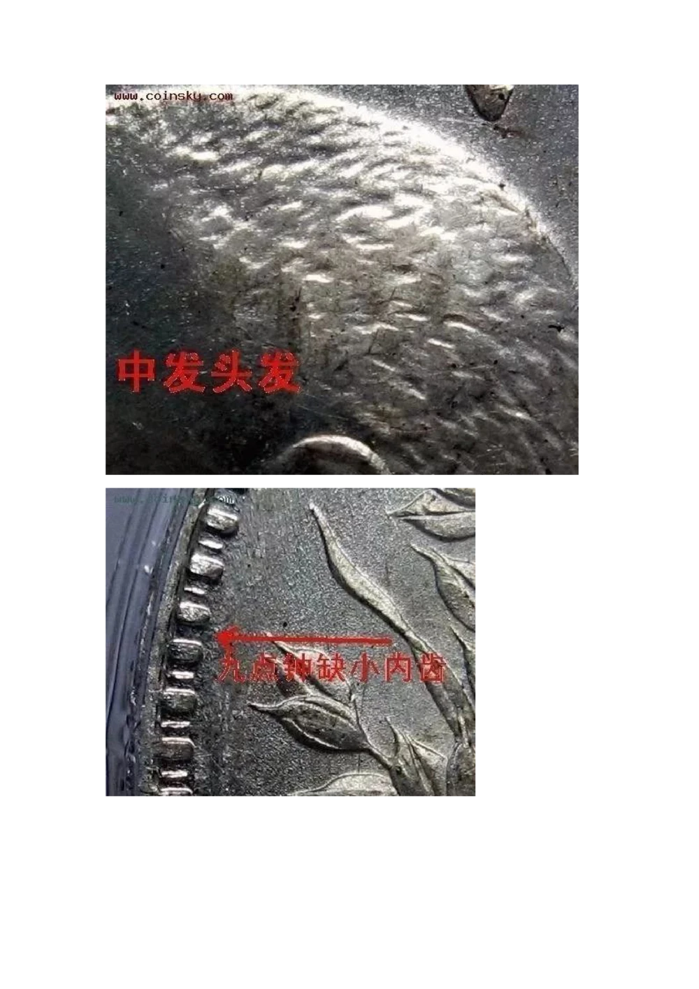 九年袁大头版别_X017-奢侈品鉴定教程最新合集_5、寄卖行鉴定全套手册合集6套_银元古币鉴定资料