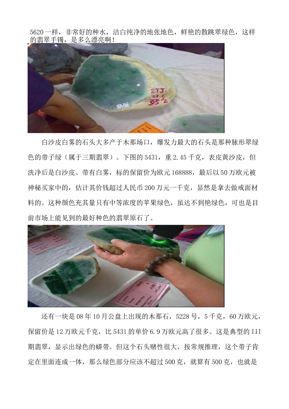 H.潘的赌石实战心得_X018-玉石珠宝鉴定教程最新合集_8、玉石翡翠鉴定与投资电子资料_赌石专题