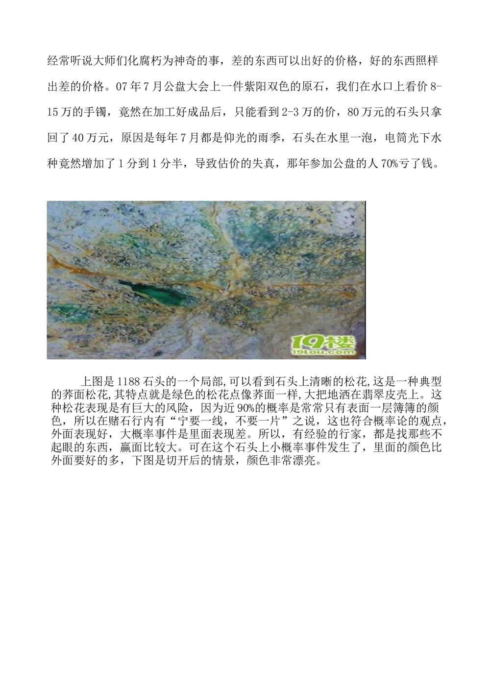 H.潘的赌石实战心得_X018-玉石珠宝鉴定教程最新合集_8、玉石翡翠鉴定与投资电子资料_赌石专题