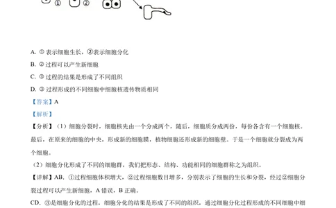 2022年河北省石家庄市会考生物试题（解析版）_河北省历年中考真题_6.河北生物（22-25）缺23