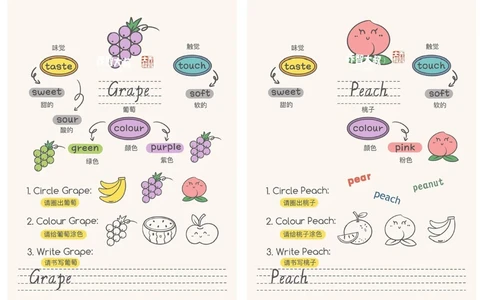 给孩子们的幼小衔接英语启蒙之水果_中小学精品资料(高清可打印)_常识知识大全集140份高清资料整理版