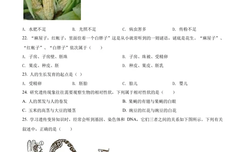 2022年河北省石家庄市会考生物试题（原卷版）_河北省历年中考真题_6.河北生物（22-25）缺23