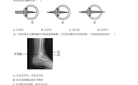 2024年河北省八年级中考生物真题（原卷版）_河北省历年中考真题_6.河北生物（22-25）缺23