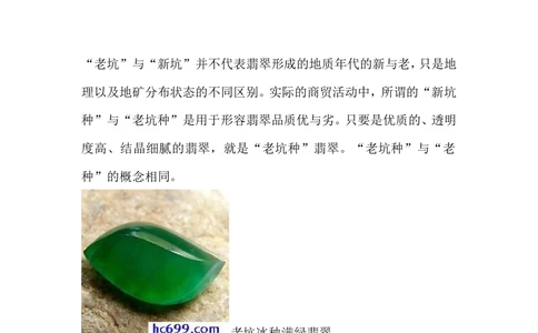 什么是新老坑种_X018-玉石珠宝鉴定教程最新合集_8、玉石翡翠鉴定与投资电子资料_赌石专题