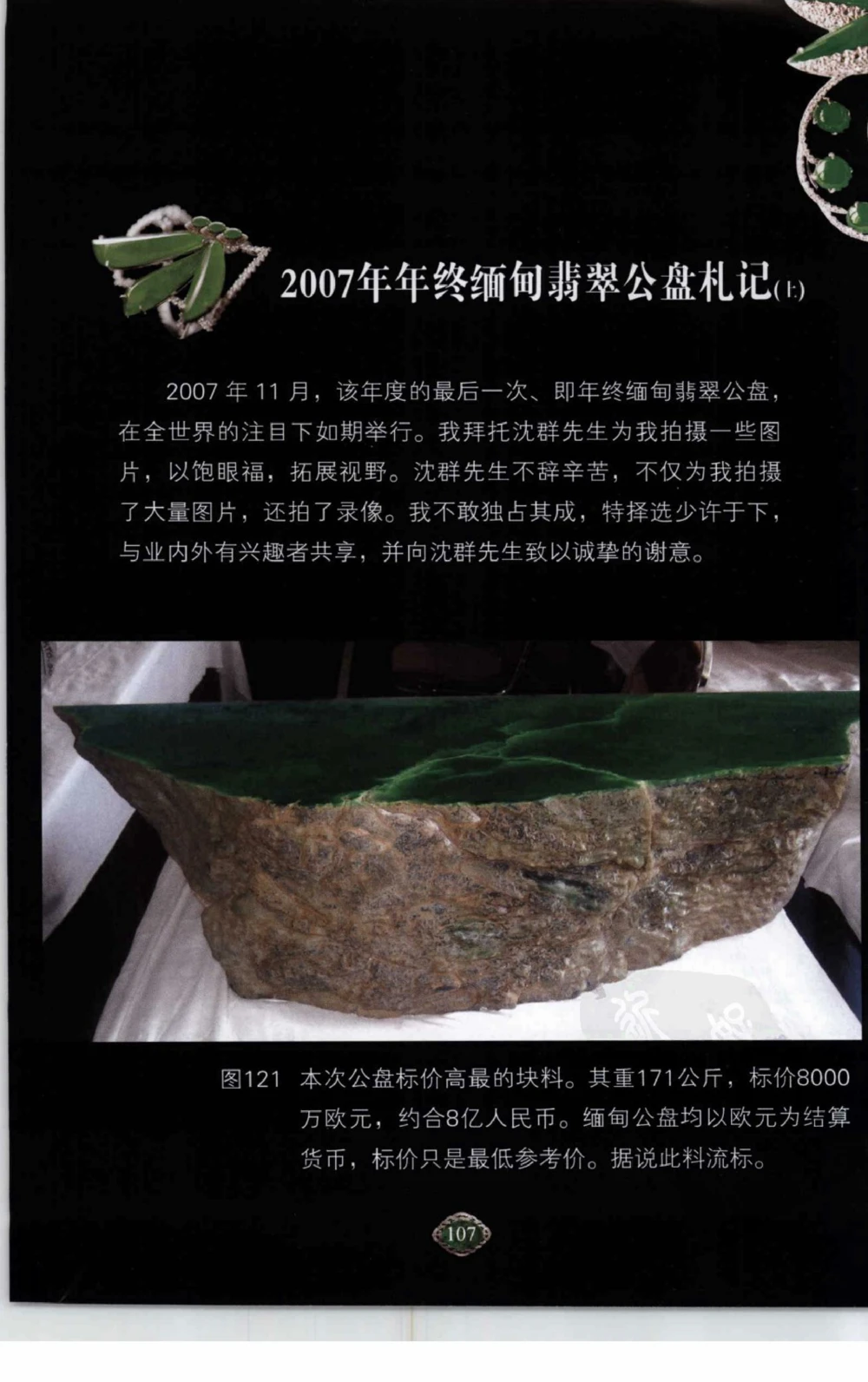 以小博大赢天下千元百元和无钱的赌石技艺_X018-玉石珠宝鉴定教程最新合集_5、玉石鉴定专题全套课程_玉石电子书_玉石电子书