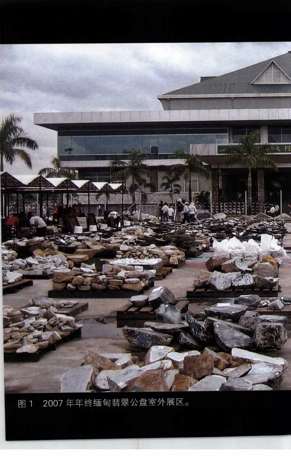 以小博大赢天下千元百元和无钱的赌石技艺_X018-玉石珠宝鉴定教程最新合集_5、玉石鉴定专题全套课程_玉石电子书_玉石电子书