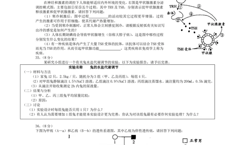 2008年高考生物试卷（广东）（解析卷）_生物历年高考真题_新&middot;PDF版2008-2025&middot;高考生物真题_生物（按试卷类型分类）2008-2025_自主命题卷&middot;生物（2008-2025）