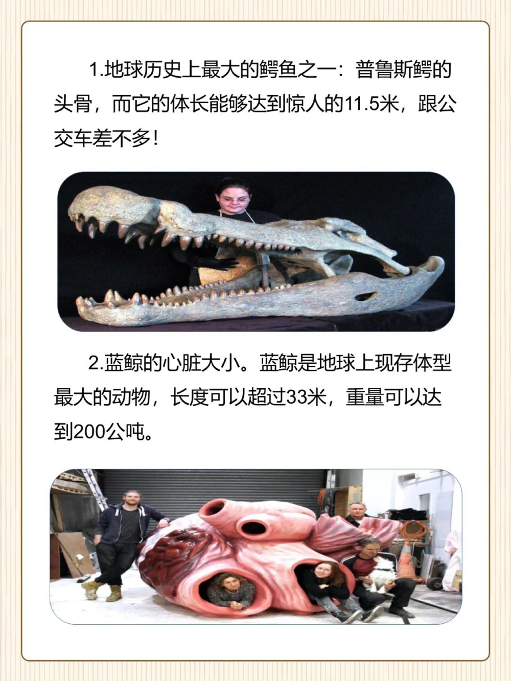 涨知识原来这些东西比想象中还要大！_中小学精品资料(高清可打印)_常识知识大全集140份高清资料整理版