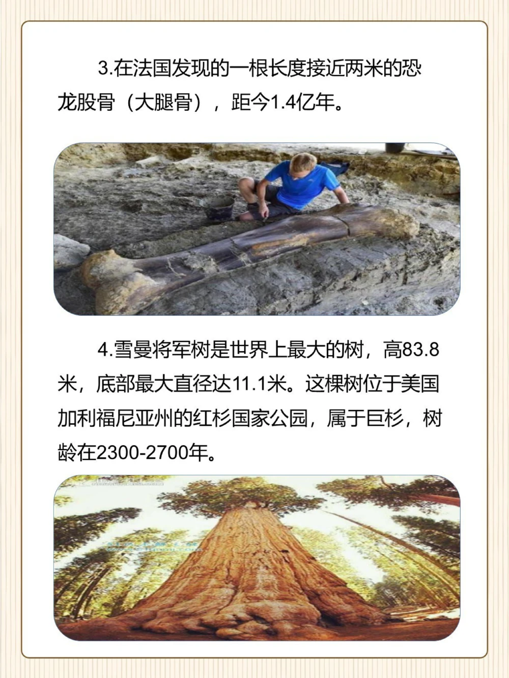 涨知识原来这些东西比想象中还要大！_中小学精品资料(高清可打印)_常识知识大全集140份高清资料整理版