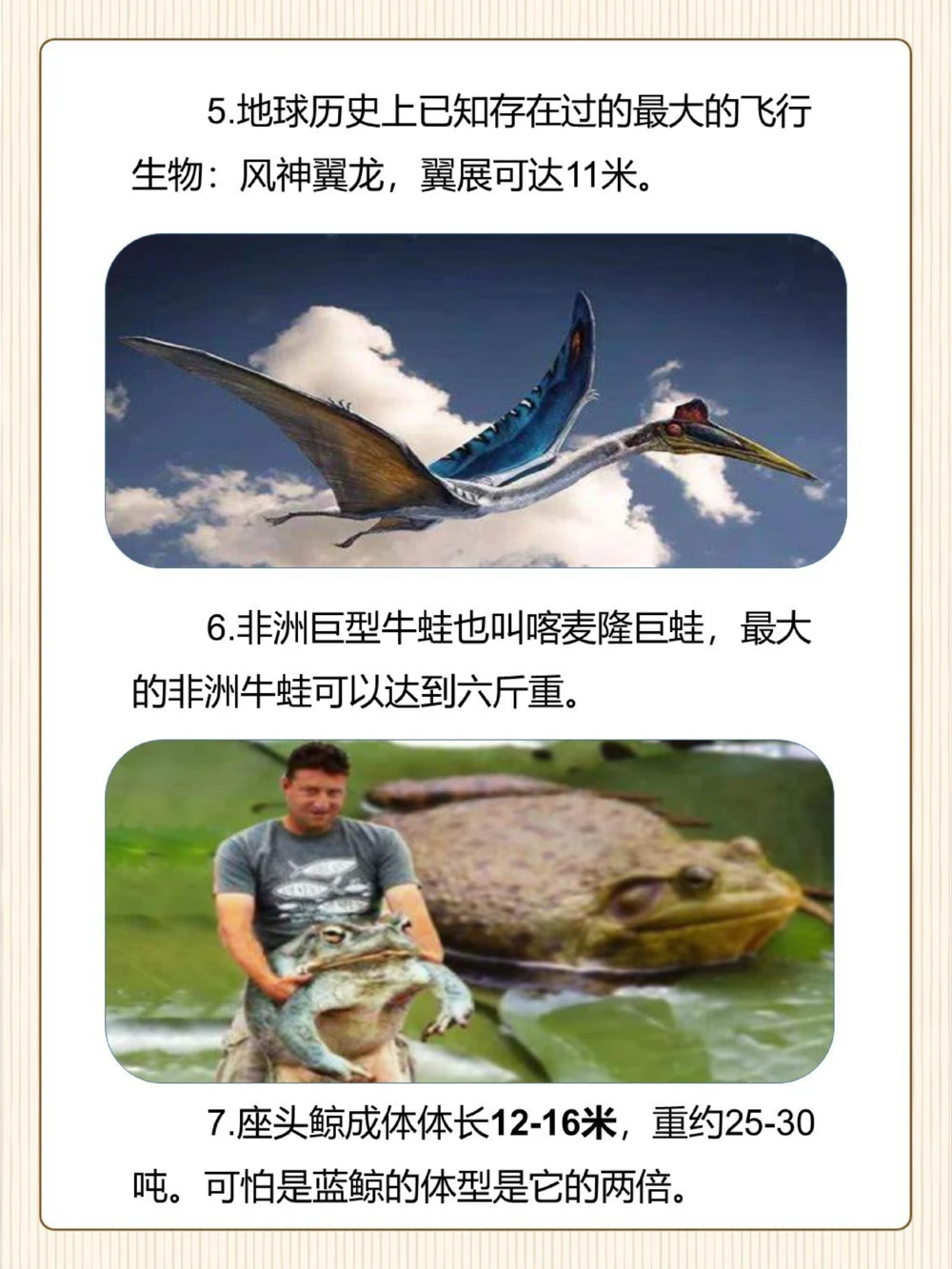 涨知识原来这些东西比想象中还要大！_中小学精品资料(高清可打印)_常识知识大全集140份高清资料整理版