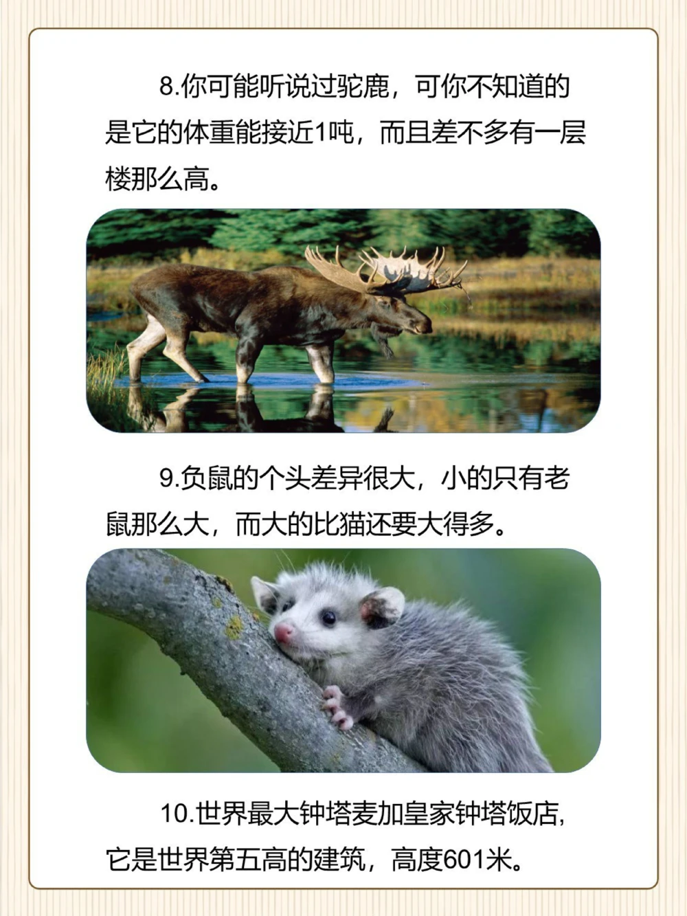 涨知识原来这些东西比想象中还要大！_中小学精品资料(高清可打印)_常识知识大全集140份高清资料整理版