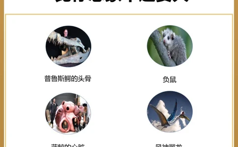 涨知识原来这些东西比想象中还要大！_中小学精品资料(高清可打印)_常识知识大全集140份高清资料整理版