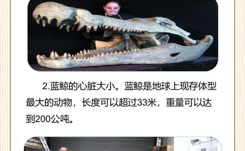 涨知识原来这些东西比想象中还要大！_中小学精品资料(高清可打印)_常识知识大全集140份高清资料整理版