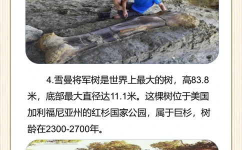 涨知识原来这些东西比想象中还要大！_中小学精品资料(高清可打印)_常识知识大全集140份高清资料整理版