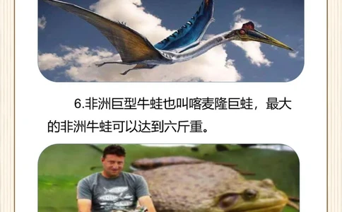 涨知识原来这些东西比想象中还要大！_中小学精品资料(高清可打印)_常识知识大全集140份高清资料整理版