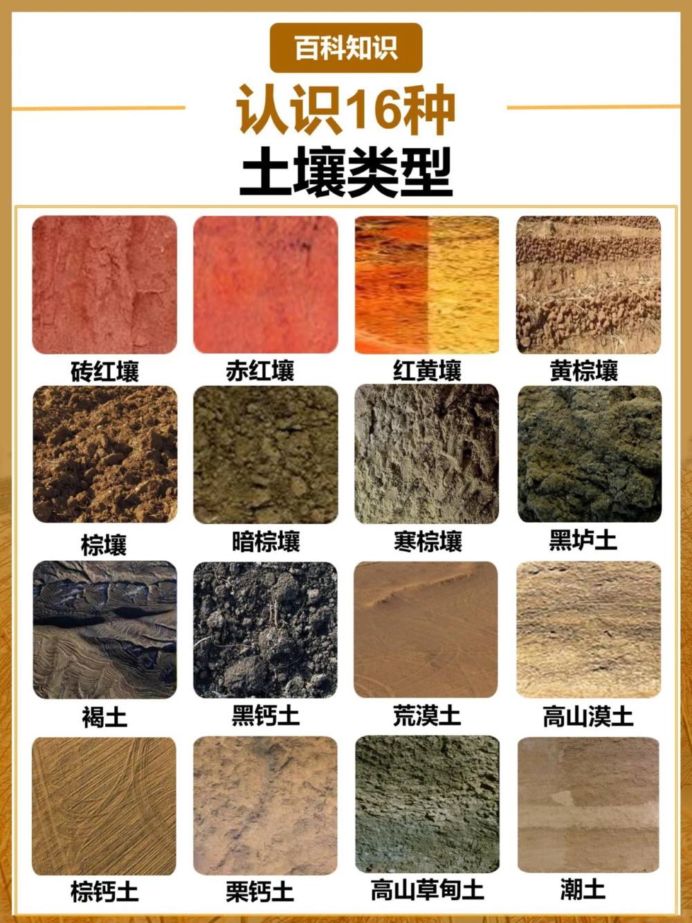 涨知识认识不同的土壤类型_中小学精品资料(高清可打印)_常识知识大全集140份高清资料整理版