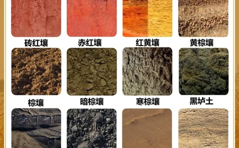 涨知识认识不同的土壤类型_中小学精品资料(高清可打印)_常识知识大全集140份高清资料整理版
