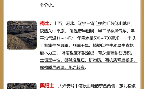 涨知识认识不同的土壤类型_中小学精品资料(高清可打印)_常识知识大全集140份高清资料整理版