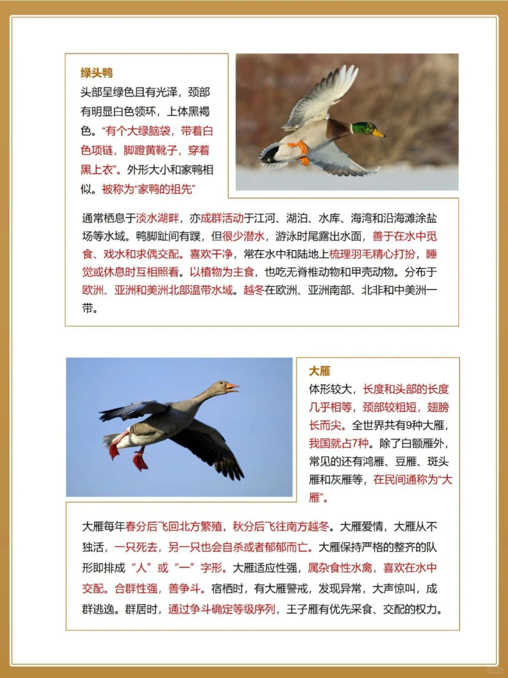 自然科普秋季候鸟图鉴亲子百科小知识_中小学精品资料(高清可打印)_百科知识大全集312份高清资料整理版