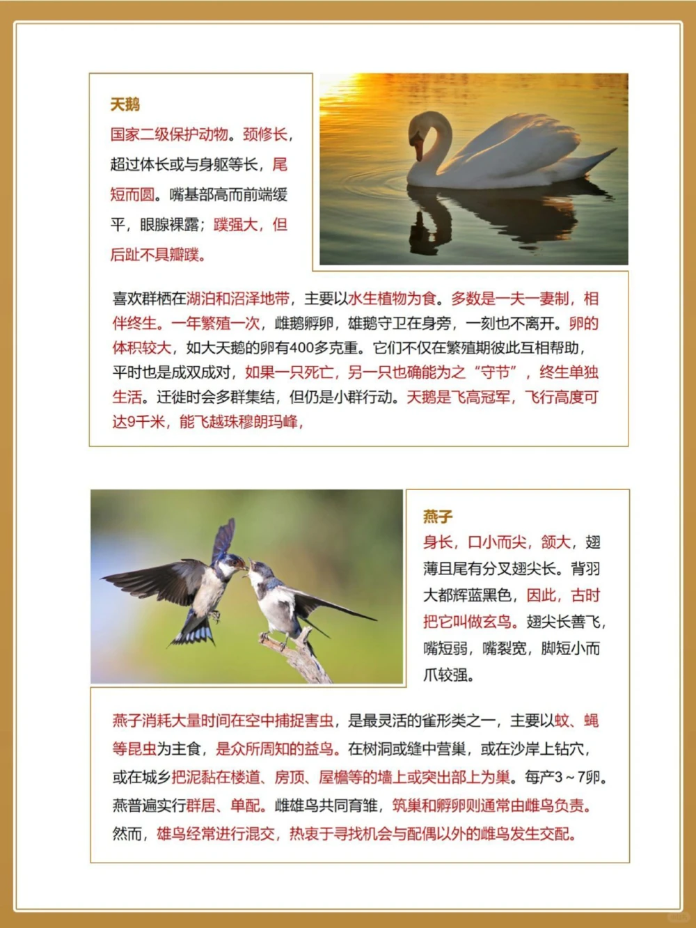 自然科普秋季候鸟图鉴亲子百科小知识_中小学精品资料(高清可打印)_百科知识大全集312份高清资料整理版